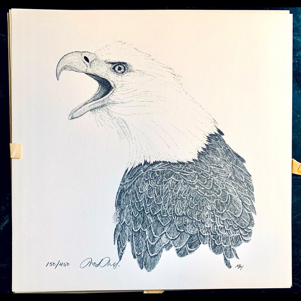 Pen&Ink unframed bald eagle print by Martin May